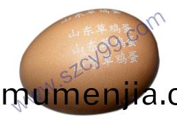 鷄(ji)蛋錶麵(mian)編(bian)碼激光(guang)打(da)標(biao)