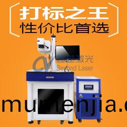 激(ji)光打標(biao)機(ji)常(chang)見(jian)類彆(bie)