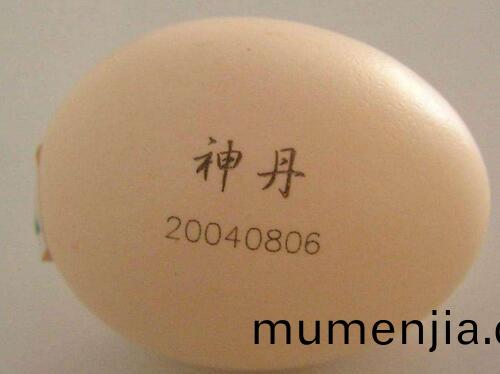 鷄蛋上(shang)激(ji)光(guang)打(da)標(biao)圖1