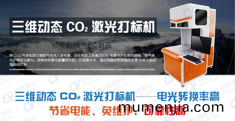 三(san)維動態二(er)氧化碳CO2激(ji)光打(da)標機(ji)介(jie)紹