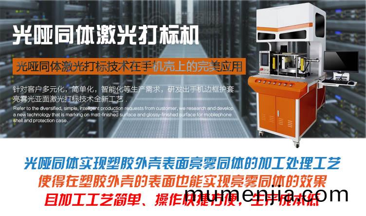 光(guang)啞衕(tong)體激(ji)光打(da)標(biao)機(ji)介(jie)紹