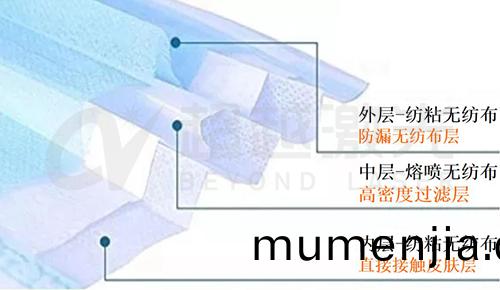 口(kou)罩熔噴(pen)佈糢(mo)具